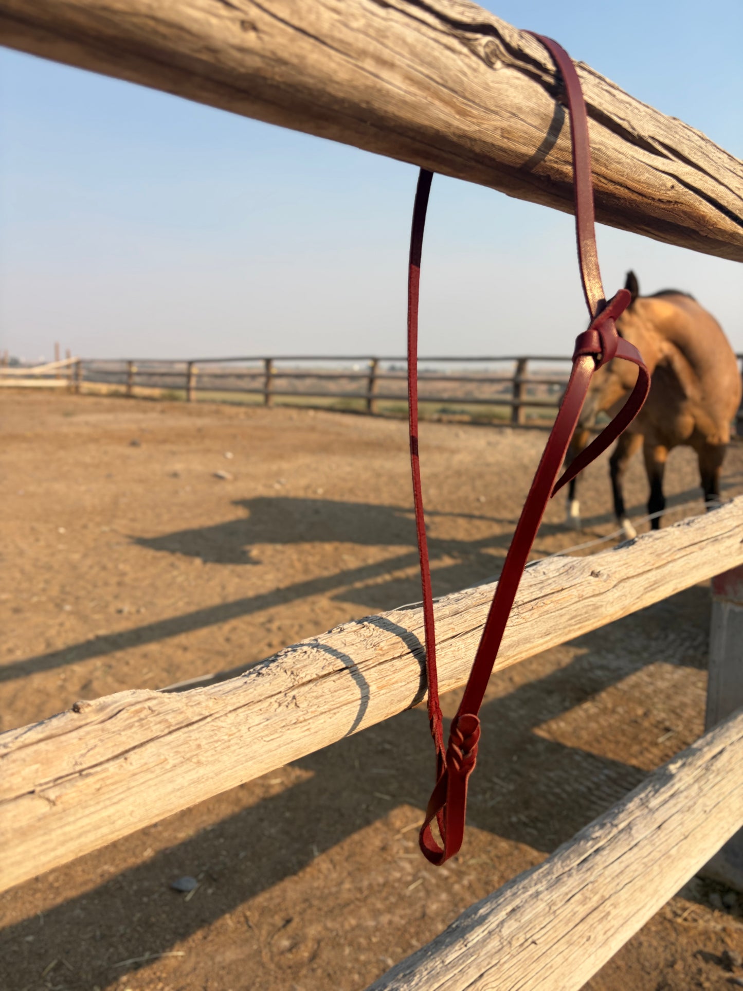 Simple Bosal Hanger