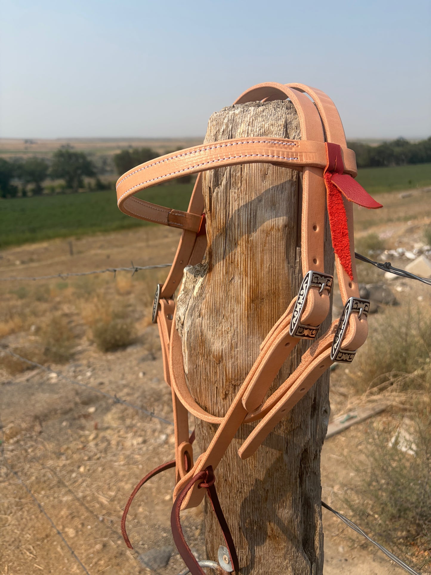 Browband Headstall